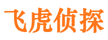 川汇资产调查